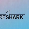 Wireshark网络抓包教程